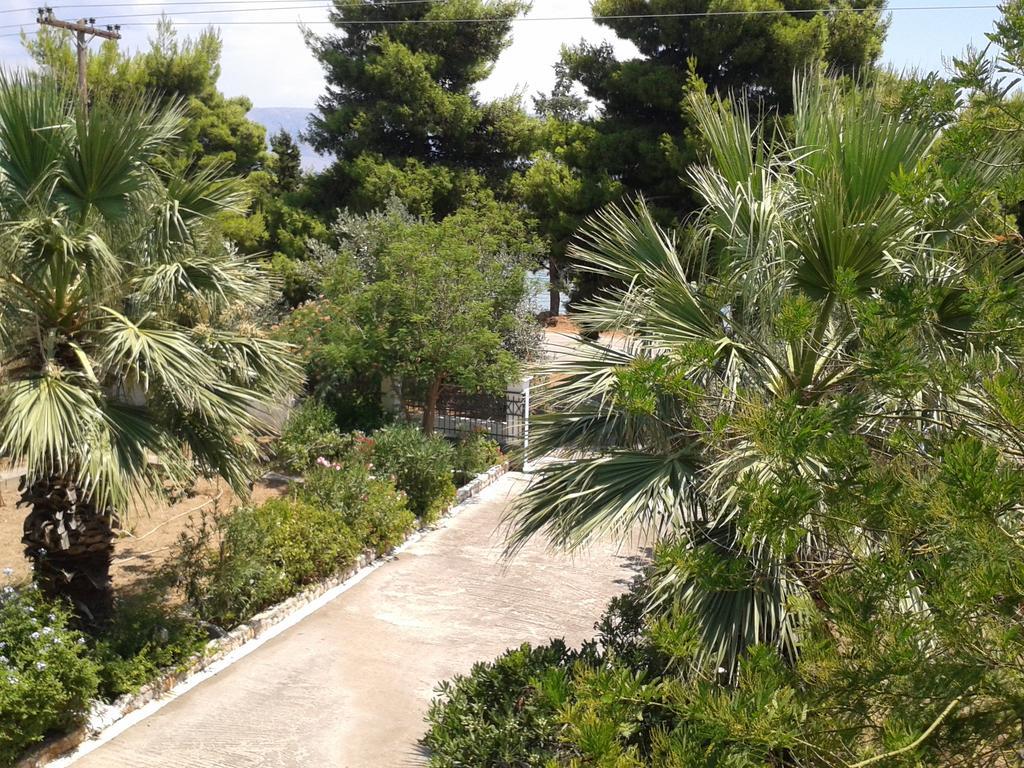 Elea Guesthouse Galaxidi Exterior photo