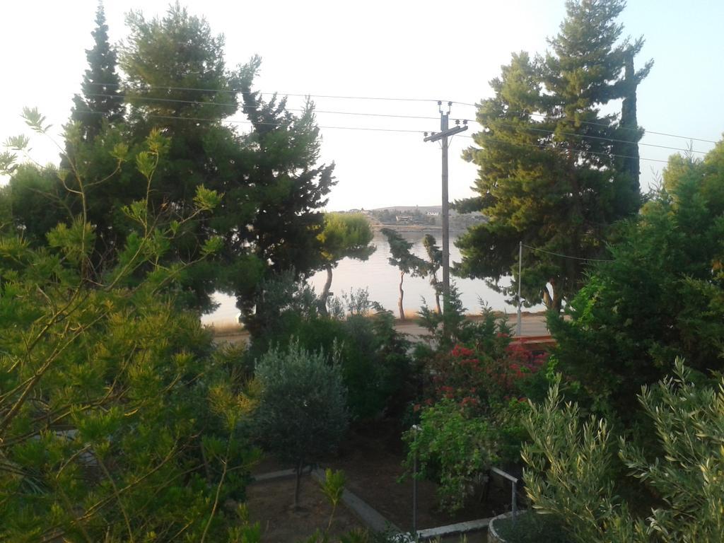 Elea Guesthouse Galaxidi Exterior photo