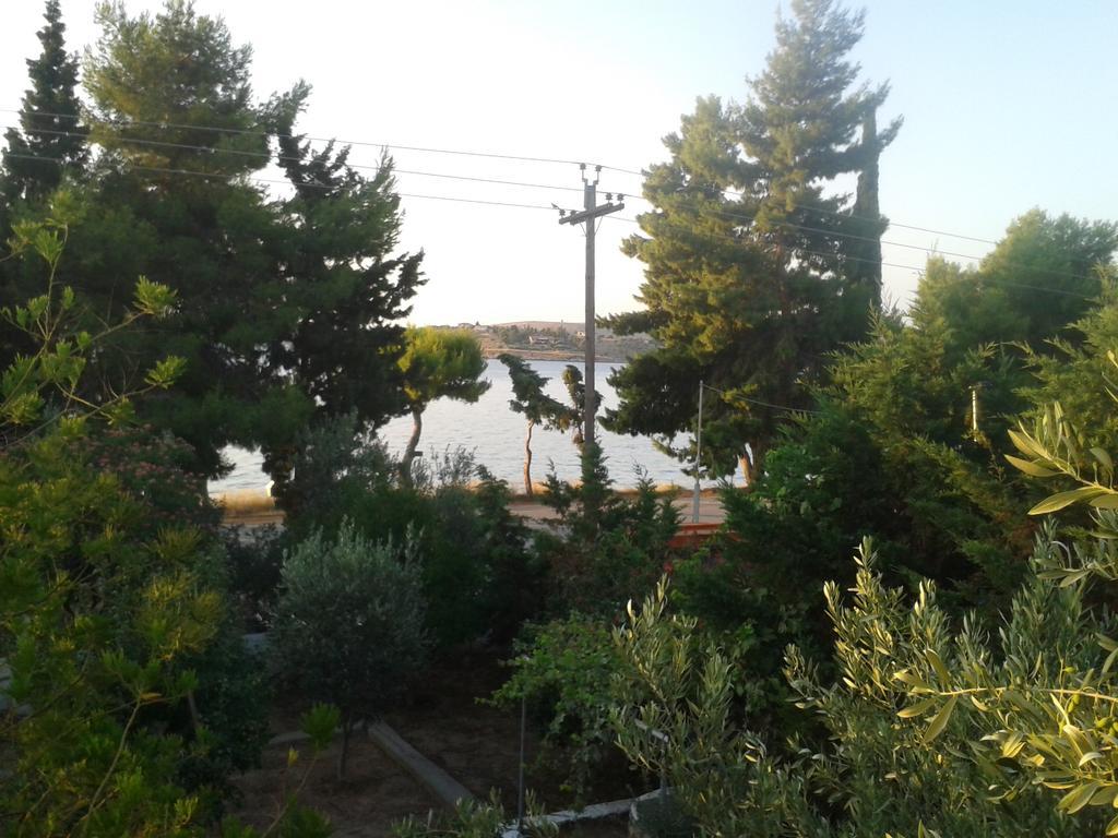 Elea Guesthouse Galaxidi Exterior photo