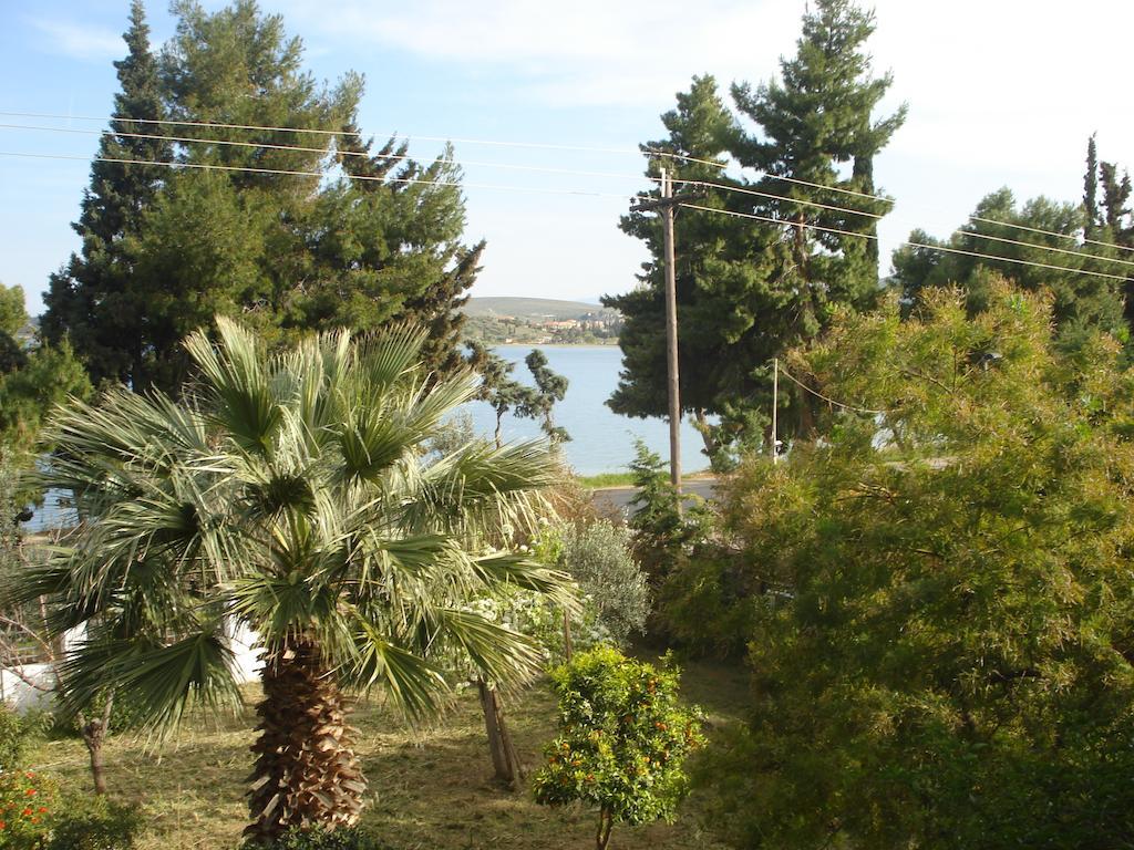 Elea Guesthouse Galaxidi Exterior photo