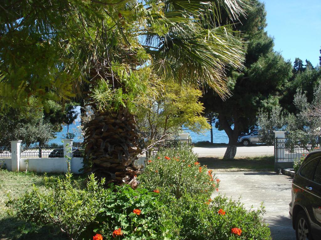 Elea Guesthouse Galaxidi Exterior photo
