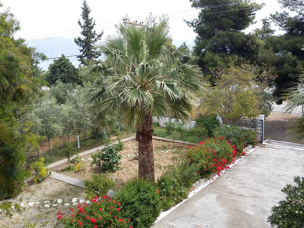 Elea Guesthouse Galaxidi Exterior photo