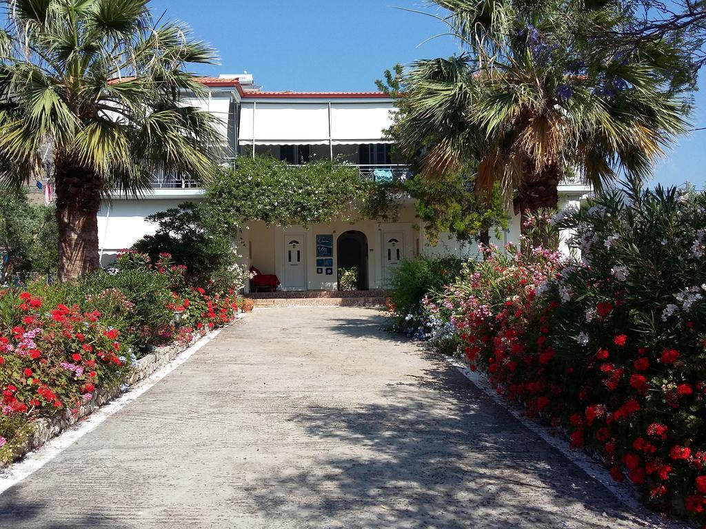 Elea Guesthouse Galaxidi Exterior photo